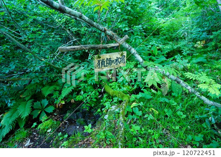 朝日連峰の猟師の水場の標識 朝日連峰の猟師の水場の標識 120722451