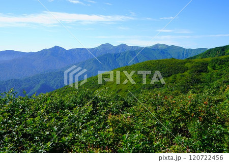 粟畑からの朝日連峰の主稜線 120722456