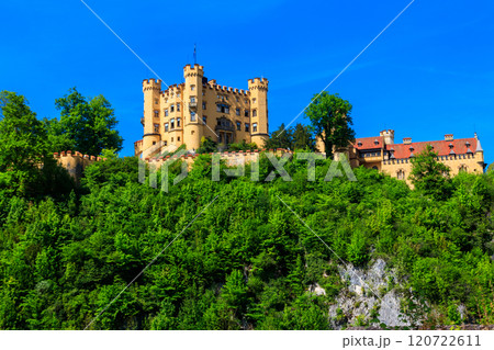 Hohenschwangau Castle in the Bavarian Alps, Germany Hohenschwangau Castle in the Bavarian Alps, Germany 120722611