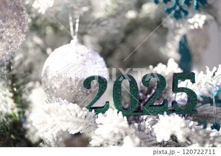 Join us for the Festive 2025 Celebration featuring beautifully decorated Christmas Tree Decor Join us for the Festive 2025 Celebration featuring beautifully decorated Christmas Tree Decor 120722711