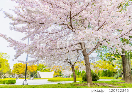 広島　桜咲く平和記念公園　 120722846