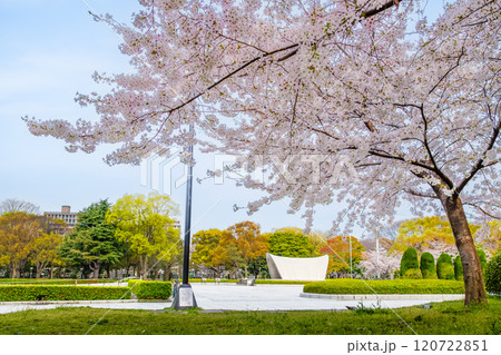 広島 桜咲く平和記念公園 広島 桜咲く平和記念公園 120722851
