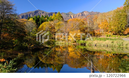 秋山郷の天池 黄葉と鳥甲山の水鏡 120722966