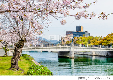 広島　桜咲く平和記念公園 120722975