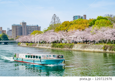 広島 桜咲く平和記念公園 広島 桜咲く平和記念公園 120722976