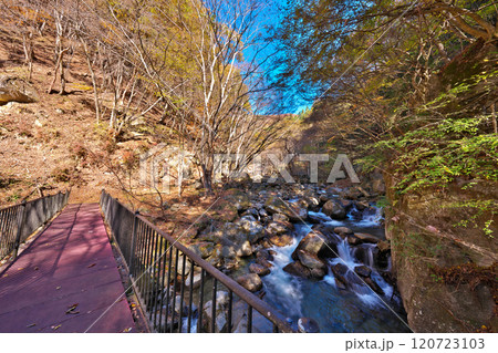 日川渓谷の秋 120723103