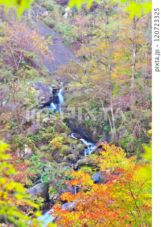 大柳川渓谷の秋 大柳川渓谷の秋 120723325