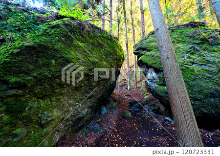 大柳川渓谷夫婦岩の秋 120723331