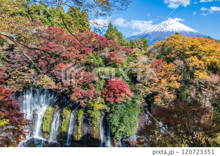 「静岡県」展望台から望む紅葉した白糸の滝と富士山 120723351