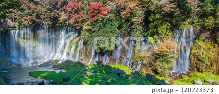 「静岡県」紅葉に囲まれた白糸の滝 富士宮市 「静岡県」紅葉に囲まれた白糸の滝 富士宮市 120723373