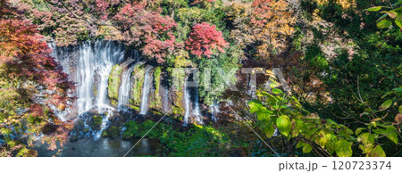 「静岡県」紅葉に囲まれた白糸の滝 富士宮市 「静岡県」紅葉に囲まれた白糸の滝 富士宮市 120723374