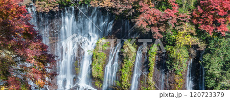 「静岡県」紅葉に囲まれた白糸の滝　富士宮市 120723379