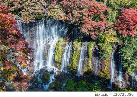 「静岡県」紅葉に囲まれた白糸の滝　富士宮市 120723380