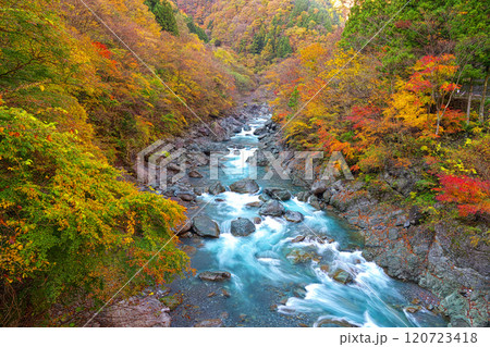 早川渓谷の秋 120723418
