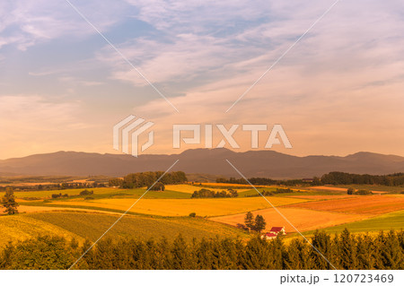 【美瑛町 新栄の丘からの秋の夕日】 【美瑛町 新栄の丘からの秋の夕日】 120723469