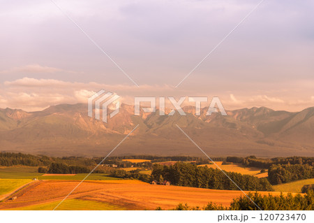 【美瑛町　新栄の丘からの秋の夕日と十勝岳連峰】 120723470
