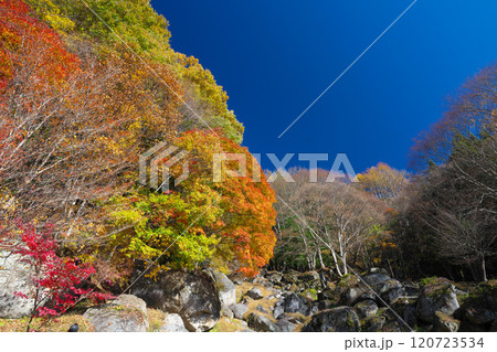 日川渓谷、栖雲寺石庭の秋 日川渓谷、栖雲寺石庭の秋 120723534