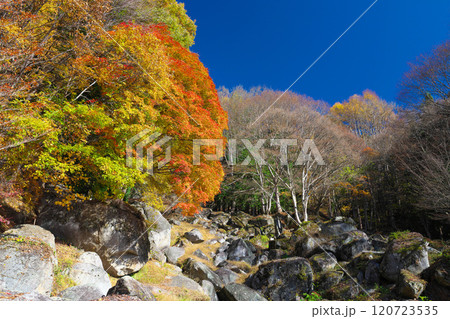 日川渓谷、栖雲寺石庭の秋 日川渓谷、栖雲寺石庭の秋 120723535