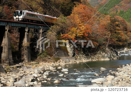錦秋の高山本線を走る特急ひだ 錦秋の高山本線を走る特急ひだ 120723716