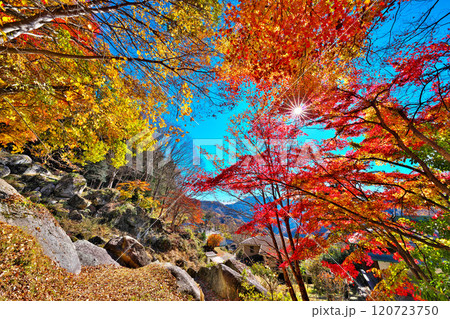 日川渓谷、栖雲寺石庭の秋 120723750