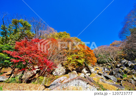 日川渓谷、栖雲寺石庭の秋 日川渓谷、栖雲寺石庭の秋 120723777