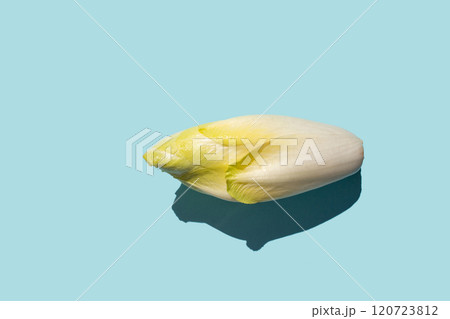 whole of chicory salad. endive. top view. flat lay whole of chicory salad. endive. top view. flat lay 120723812