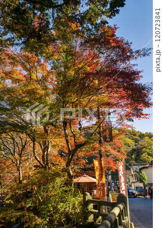 高尾山　琵琶滝コース（6号路）　清滝駅広場から登山道へ　11月下旬 120723841