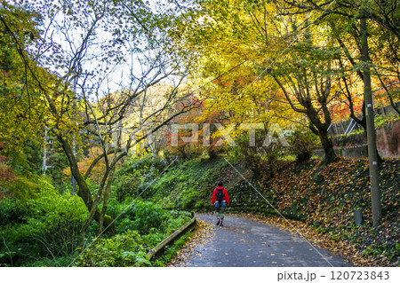 高尾山　琵琶滝コース（6号路）　清滝駅から登山道へ　11月下旬 120723843