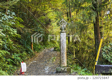 高尾山　登山道　琵琶滝コース（6号路）　登山口　11月下旬 120723847