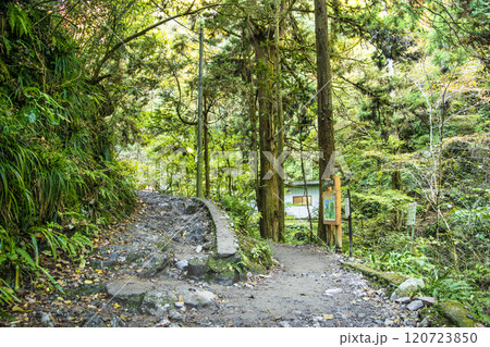 高尾山　琵琶滝コース（6号路）　登山道　琵琶滝（右）と高尾山頂（左）への分岐点　11月下旬 120723850