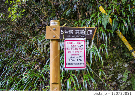 高尾山　琵琶滝コース（6号路）　登山道琵琶滝（右）と高尾山頂への分岐点　　11月下旬 120723851