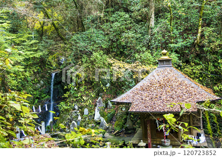 高尾山 琵琶滝コース(6号路) 登山道沿い 琵琶滝 11月下旬 高尾山 琵琶滝コース(6号路) 登山道沿い 琵琶滝 11月下旬 120723852
