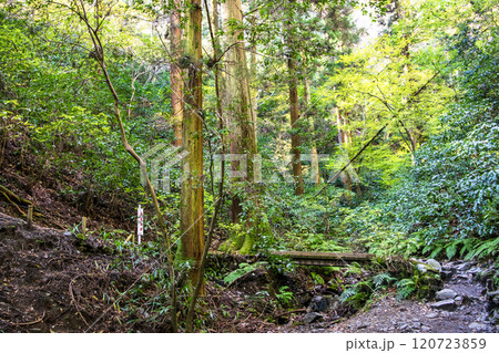 高尾山 琵琶滝コース(6号路) 登山道 大山橋から第一の橋 11月下旬 高尾山 琵琶滝コース(6号路) 登山道 大山橋から第一の橋 11月下旬 120723859