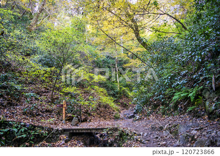 高尾山 琵琶滝コース(6号路) 登山道 飛び石の入口 11月下旬 高尾山 琵琶滝コース(6号路) 登山道 飛び石の入口 11月下旬 120723866