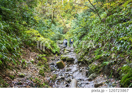 高尾山　琵琶滝コース（6号路）　登山道　飛び石の道　11月下旬 120723867