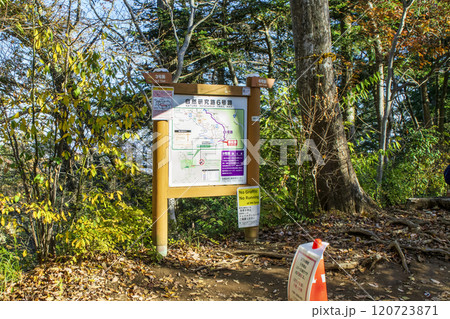 高尾山　琵琶滝コース（6号路）　登山道の頂上広場　11月下旬 120723871