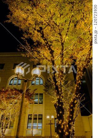 神戸の街がイルミネーションでキラキラ輝く12月,神戸元町旧居留地にて撮影 神戸の街がイルミネーションでキラキラ輝く12月,神戸元町旧居留地にて撮影 120723930