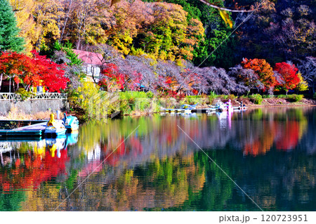 四尾連湖の秋 四尾連湖の秋 120723951