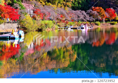 四尾連湖の秋 四尾連湖の秋 120723952
