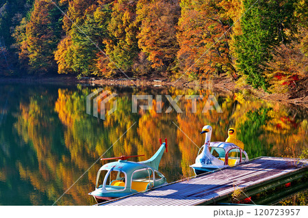 四尾連湖の秋 120723957