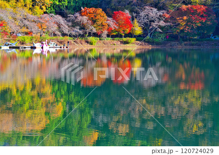 四尾連湖の秋 四尾連湖の秋 120724029