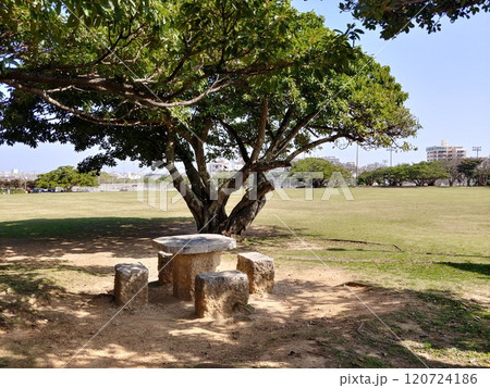 沖縄　新都心公園44 120724186