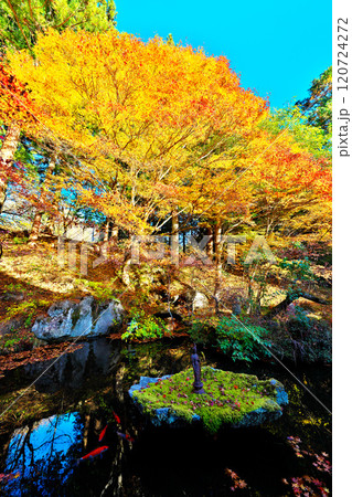 景徳院の秋 120724272