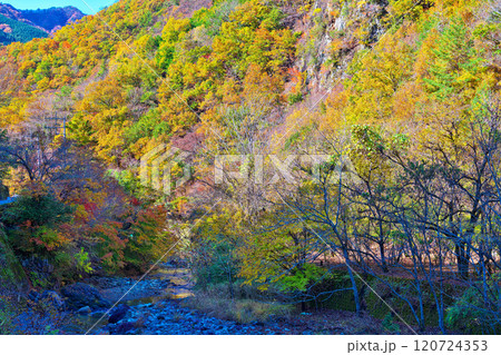 芦川渓谷の秋 芦川渓谷の秋 120724353