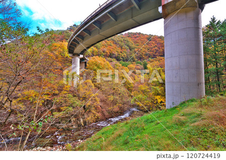 芦川渓谷の秋 芦川渓谷の秋 120724419