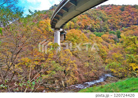 芦川渓谷の秋 芦川渓谷の秋 120724420