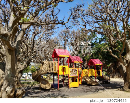 沖縄　新都心公園46 120724433