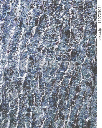 樹皮 樹皮 120725034