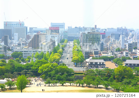 世界文化遺産・姫路城 120725164