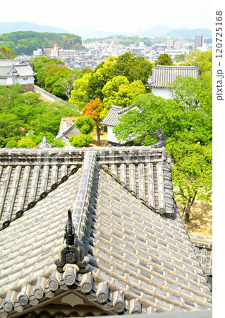 世界文化遺産・姫路城 世界文化遺産・姫路城 120725168